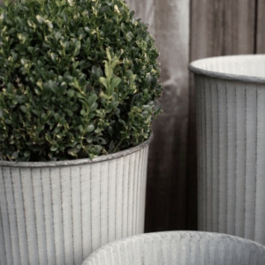 Krukor Out Stripe set om 3 - Dbkd