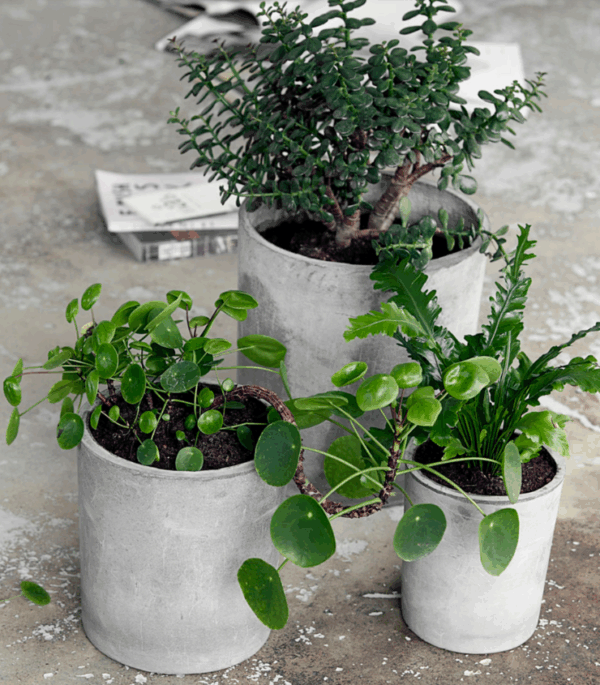 Krukor HD Ave -set om 3 - Bild 3